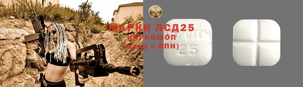 индика Снежногорск