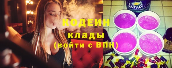 индика Снежногорск