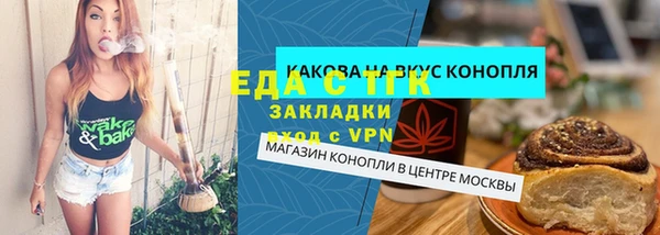 индика Снежногорск