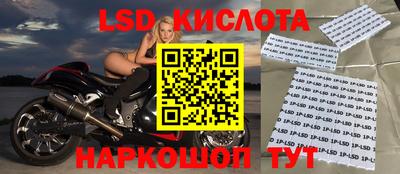 spice Кандалакша