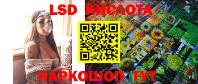 винт Канаш