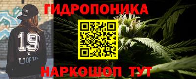 винт Канаш