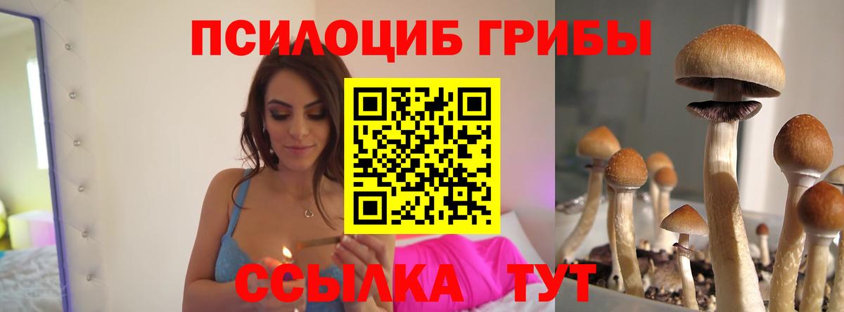 даркнет сайт  Галлюциногенные грибы мицелий  Вход с VPN  Черняховск 